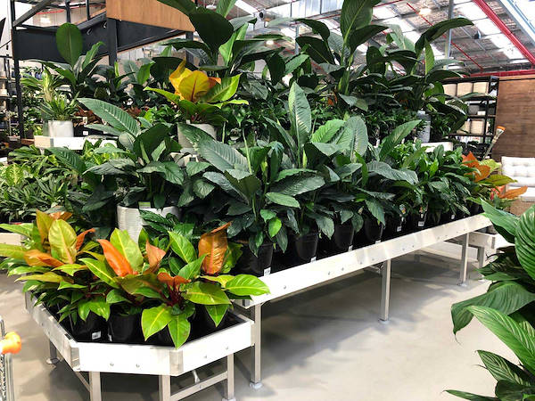 Il nuovo Garden Center Flower Power