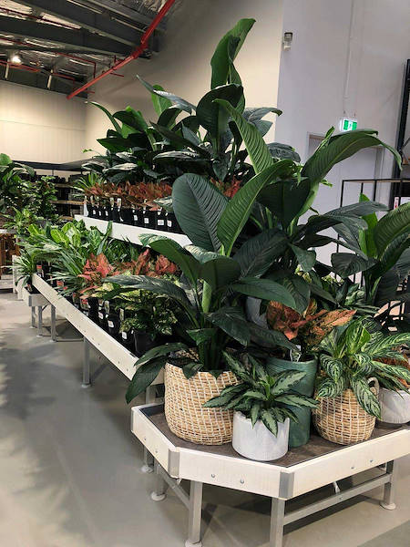 Il nuovo Garden Center Flower Power