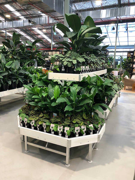 Il nuovo Garden Center Flower Power