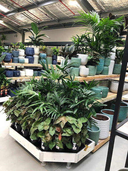 Il nuovo Garden Center Flower Power