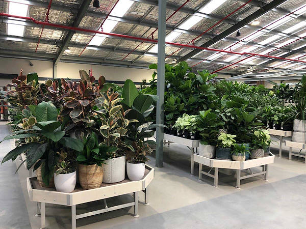 Il nuovo Garden Center Flower Power