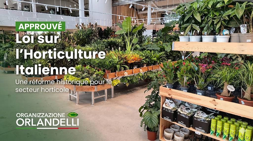 La nouvelle loi sur l'horticulture et le secteur des jardineries italiennes.