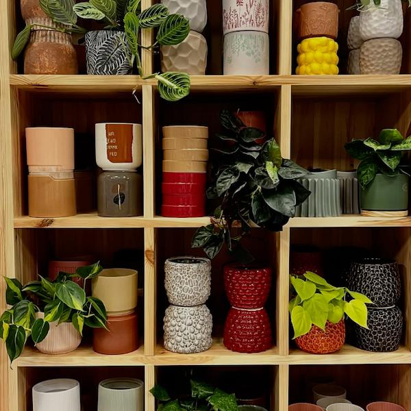 Scaffalature in legno con ripiani a riquadro