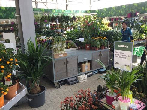 Inauguración del nuevo Centro de Jardinería Darwin