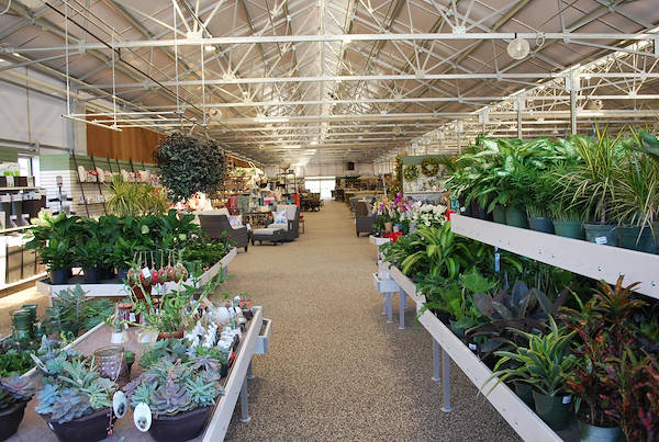 Inaugurano i nuovi Garden Center Petitti