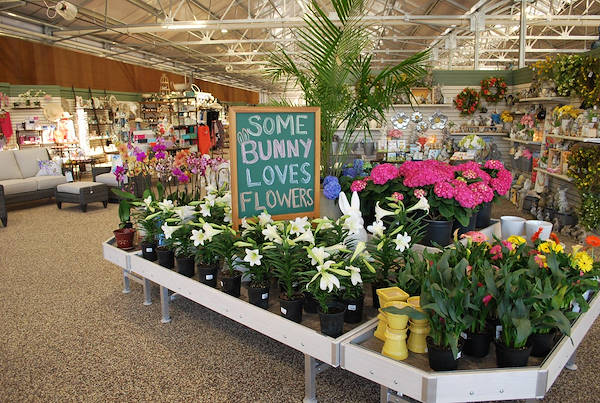 Inaugurano i nuovi Garden Center Petitti