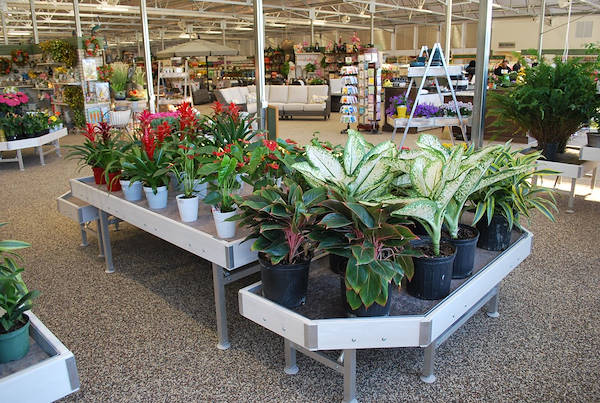 Inaugurano i nuovi Garden Center Petitti