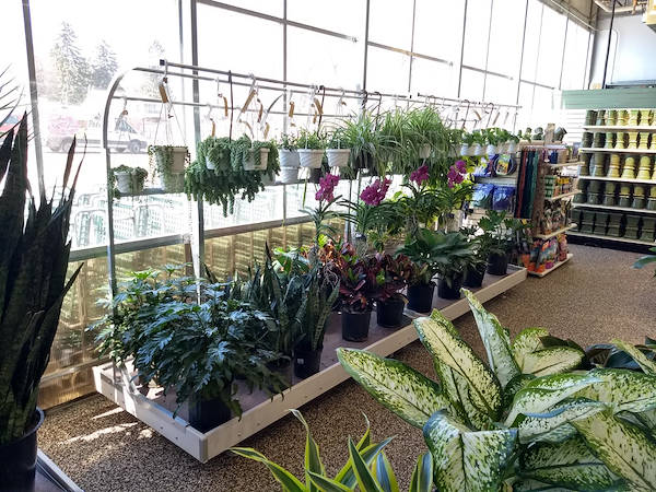 Inaugurano i nuovi Garden Center Petitti