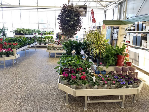 Inaugurano i nuovi Garden Center Petitti