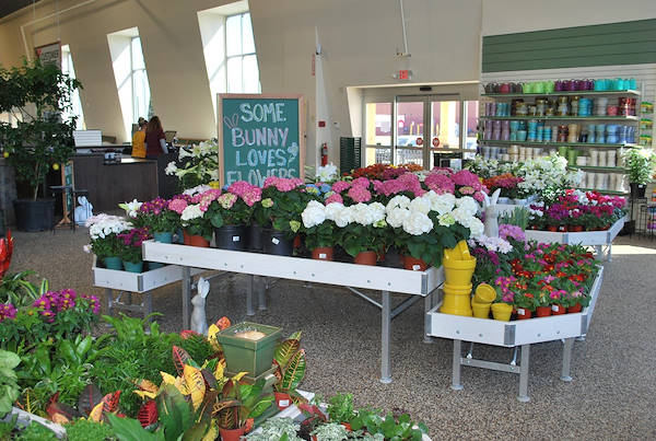 Inaugurano i nuovi Garden Center Petitti