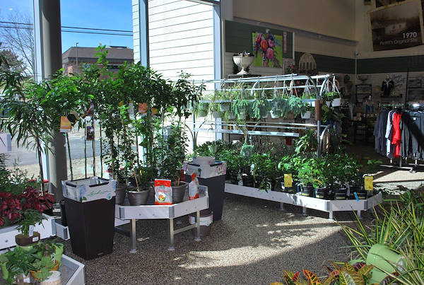 Inaugurano i nuovi Garden Center Petitti