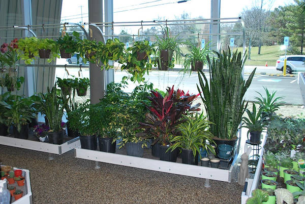 Inaugurano i nuovi Garden Center Petitti