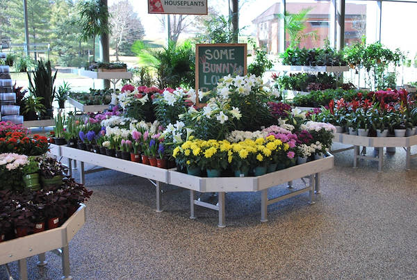 Inaugurano i nuovi Garden Center Petitti