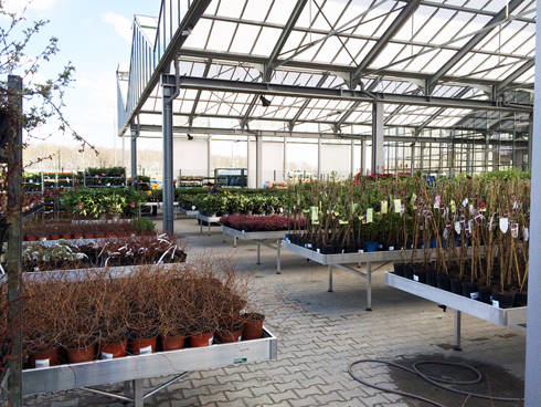 Inauguration du nouveau Garden Center “Darwin”