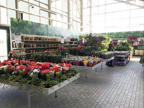 Inaugurazione del nuovo garden Center Darwin