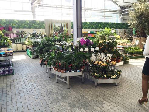 Inaugurazione del nuovo garden Center Darwin