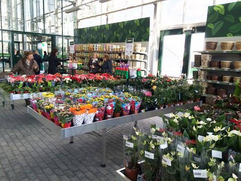 Inaugurazione del nuovo garden Center Darwin