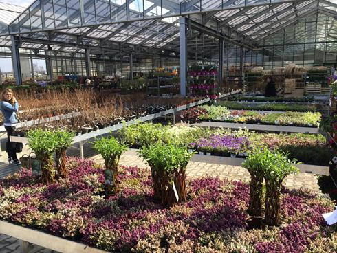 Inaugurazione del nuovo garden Center Darwin