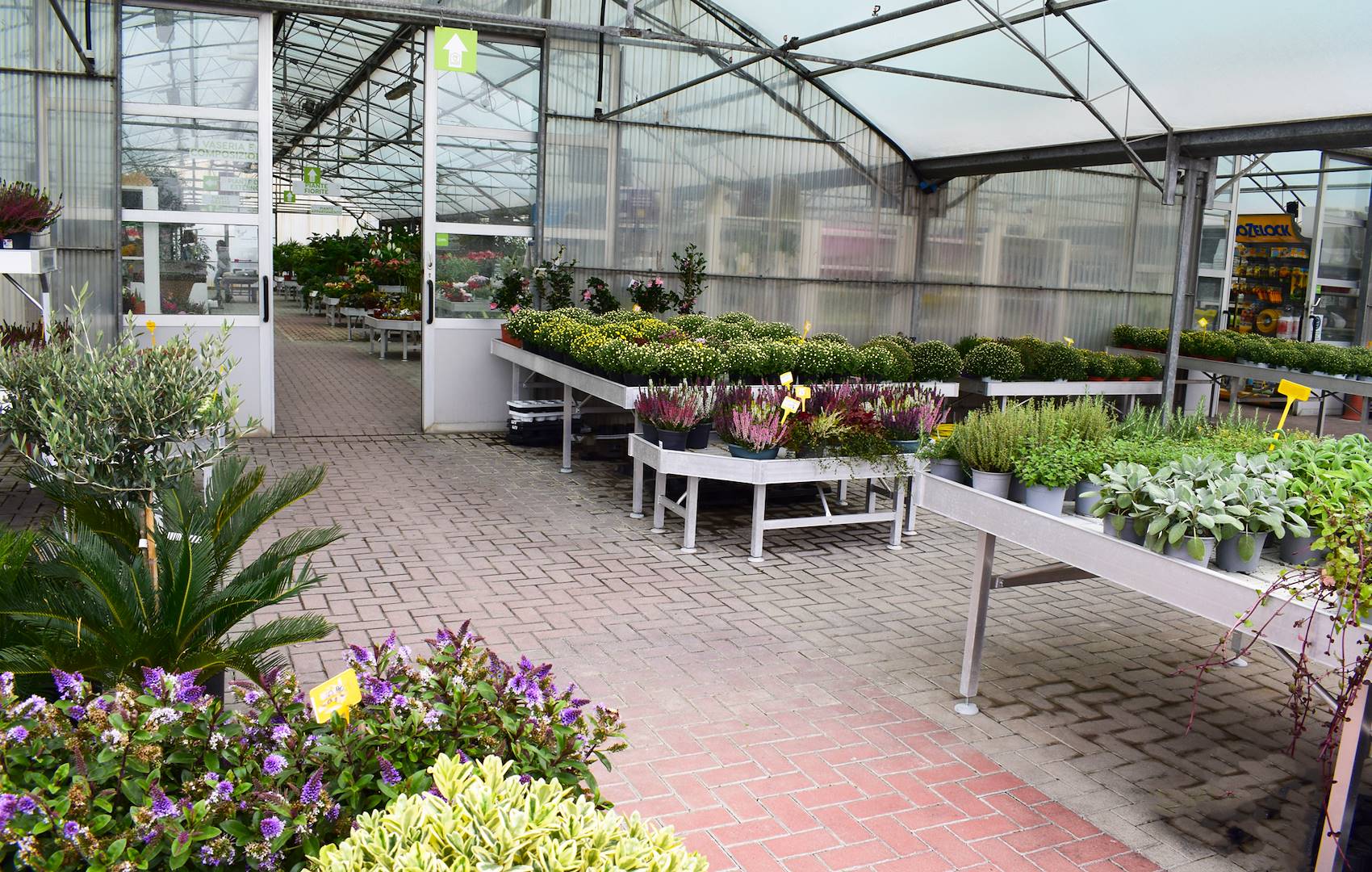 Il Garden Frediani di Altopascio si trasforma grazie al progetto di rinnovamento firmato Orlandelli