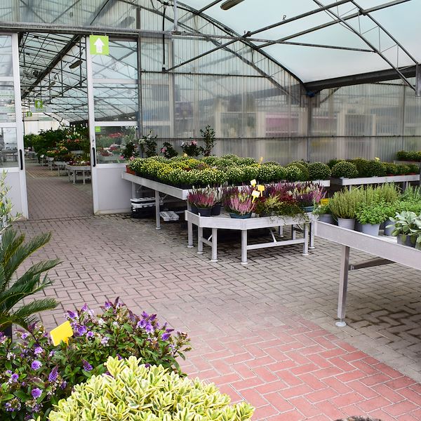 Il nuovo volto del Garden Frediani