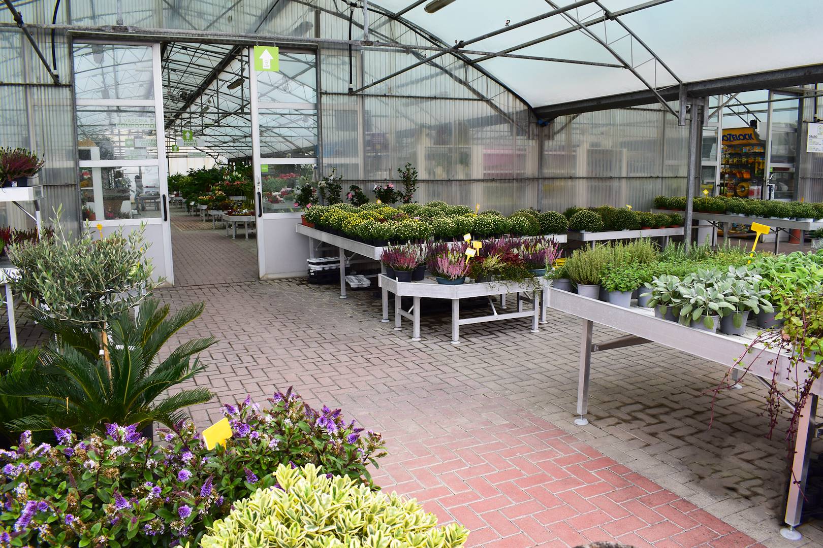 Erleben Sie die unglaubliche Verwandlung des Garden Frediani in Altopascio, die durch Orlandellis Renovierungsprojekt ermöglicht wurde.