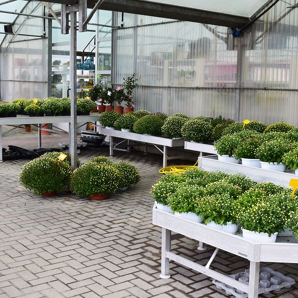 Il nuovo volto del Garden Frediani