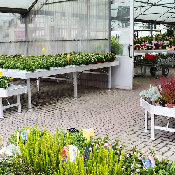 Il nuovo volto del Garden Frediani