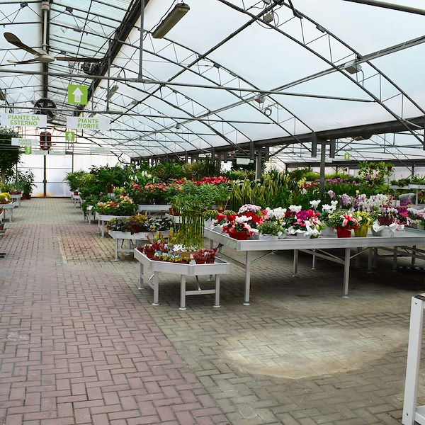 The new look of Garden Frediani