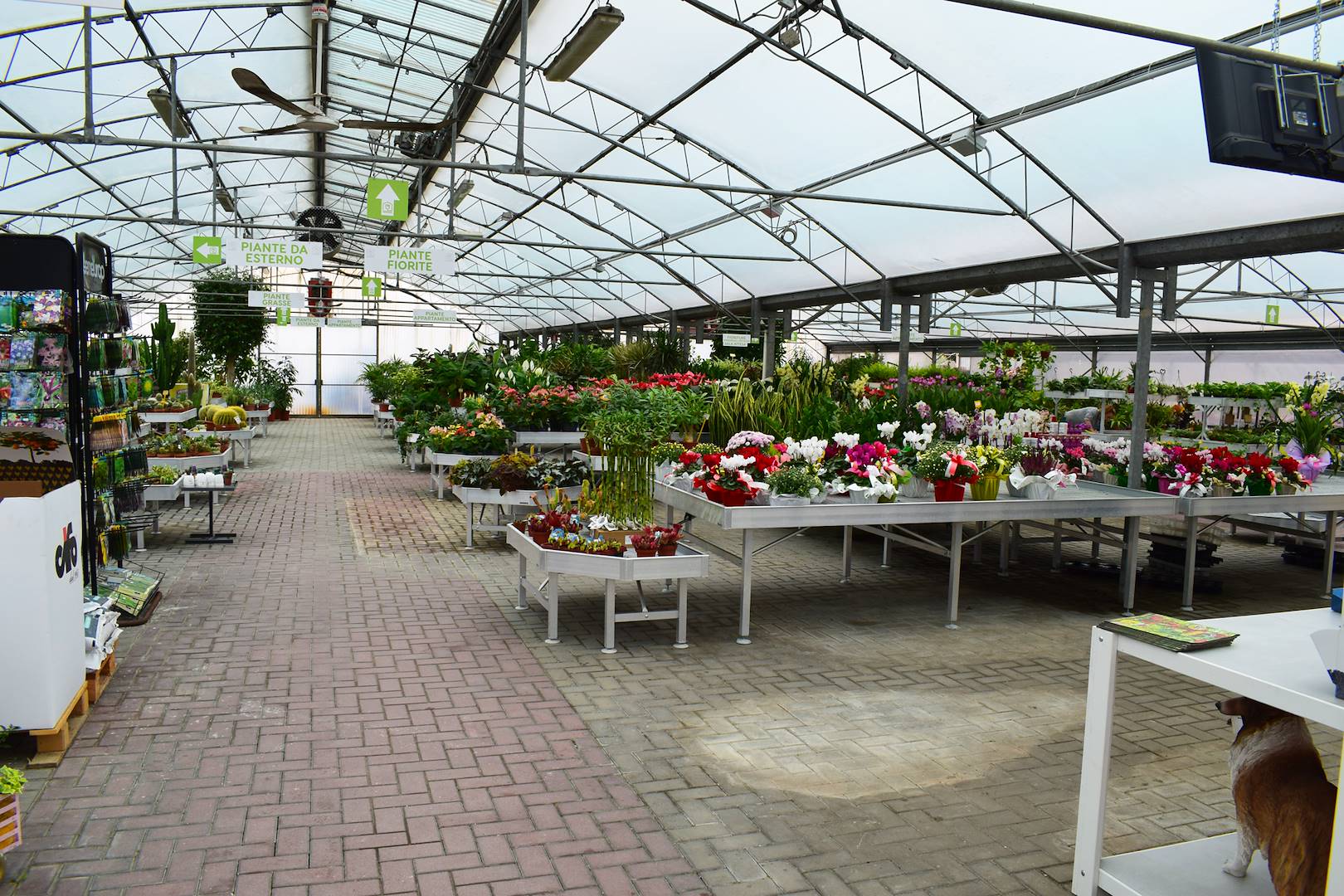 Garden Frediani: захватывающее путешествие в самое сердце трансформации от Organizzazione Orlandelli