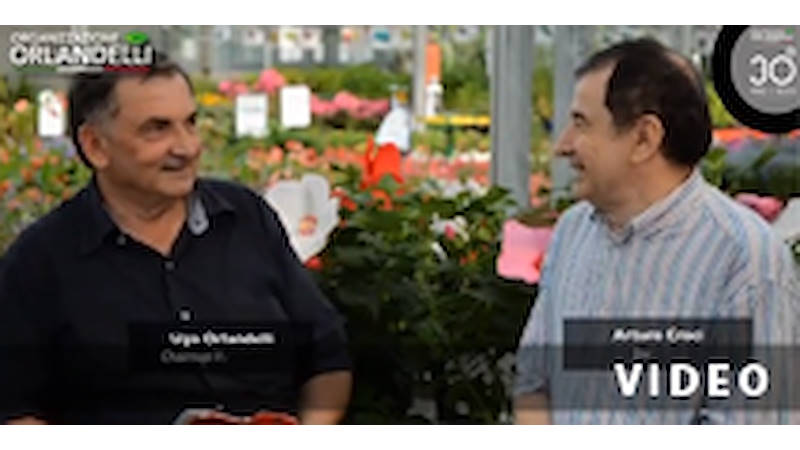 مقابلة مع أوغو أورلانديلي