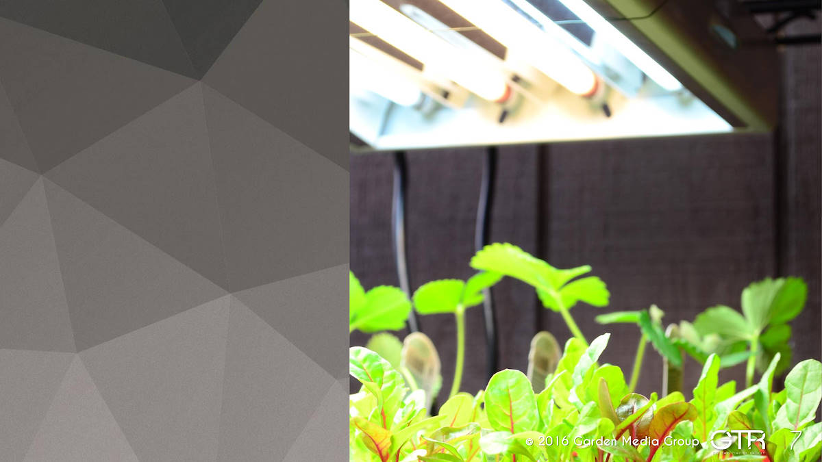 Investigación en la Función de los Jardines 2017