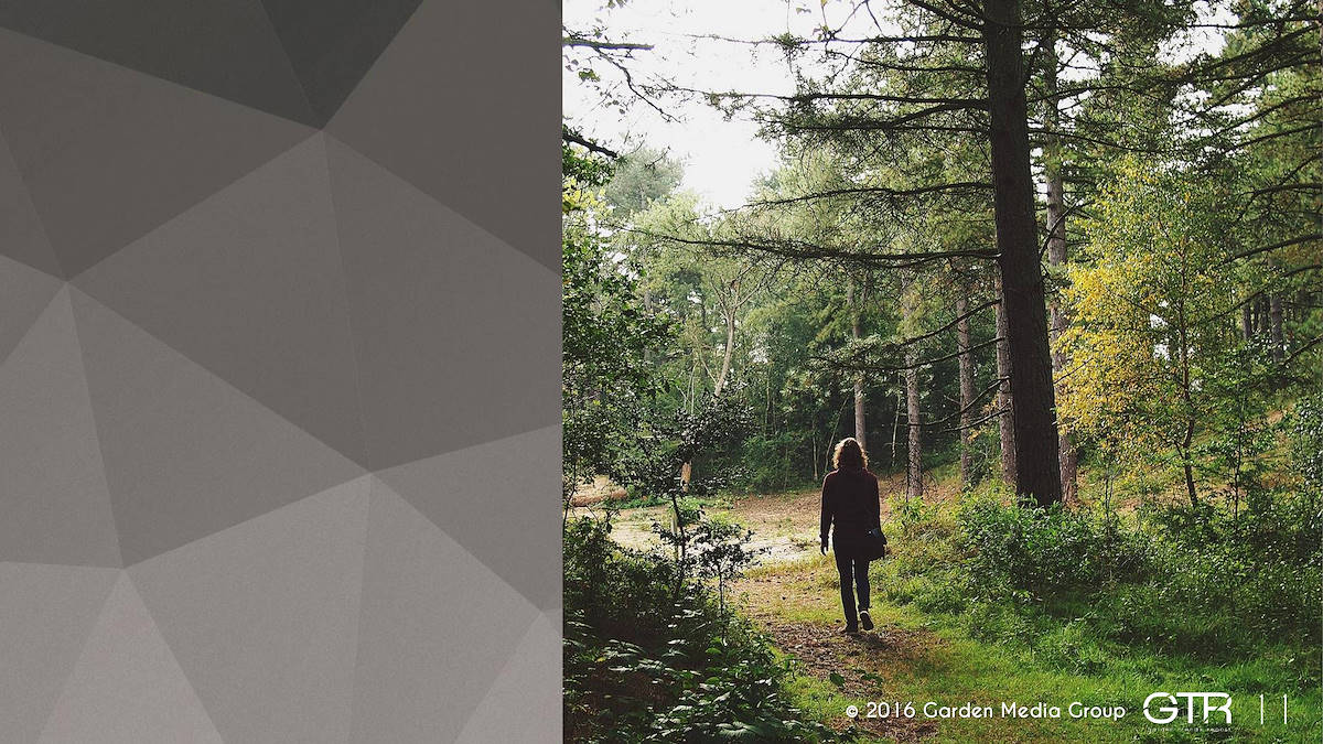 Investigación en la Función de los Jardines 2017