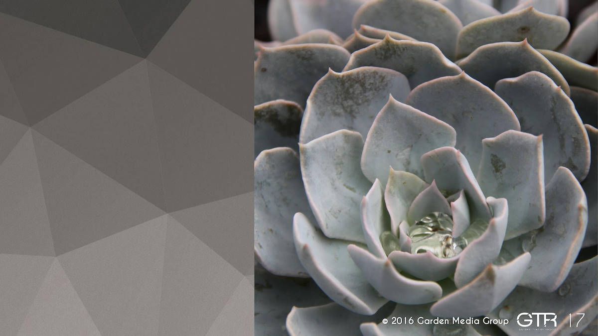 Investigación en la Función de los Jardines 2017