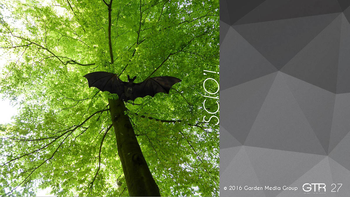 Investigación en la Función de los Jardines 2017