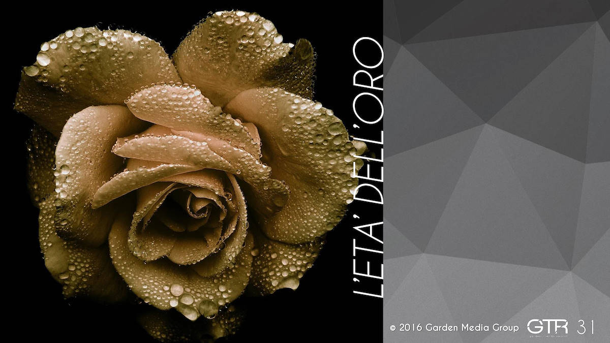 Investigación en la Función de los Jardines 2017