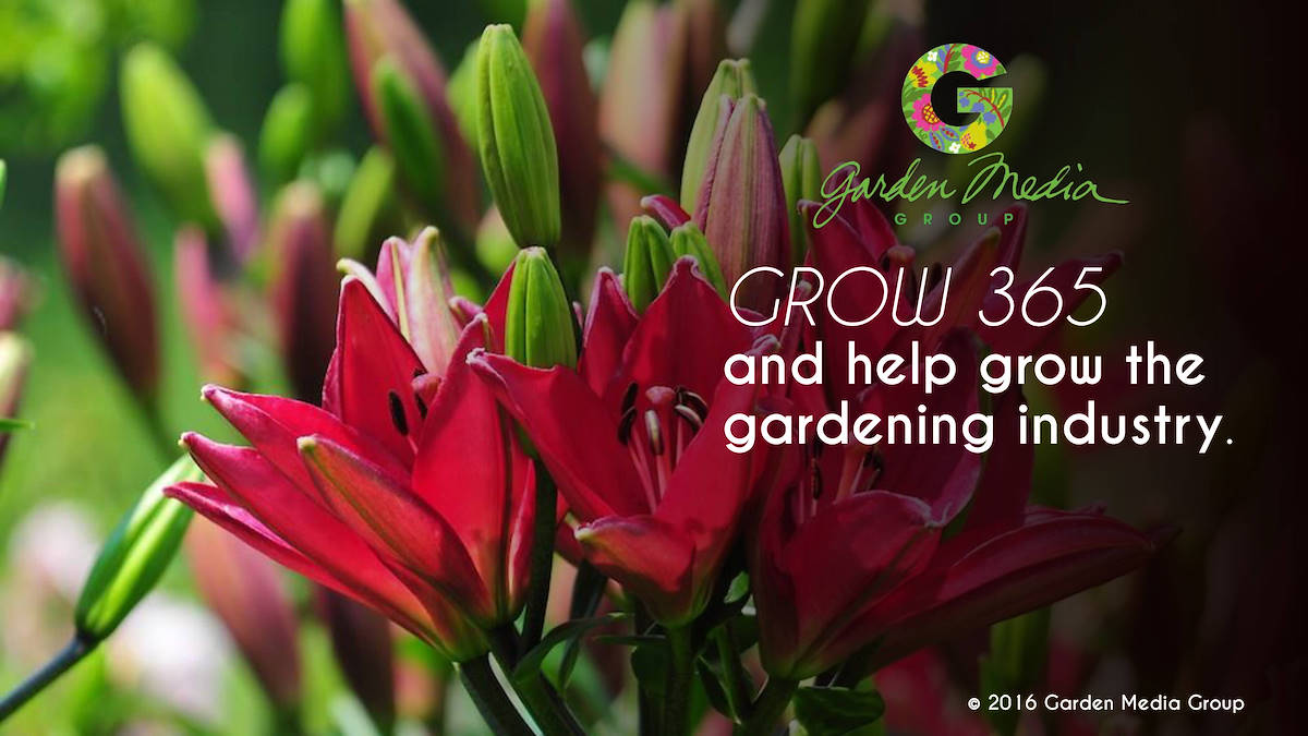 Descargar & Créditos