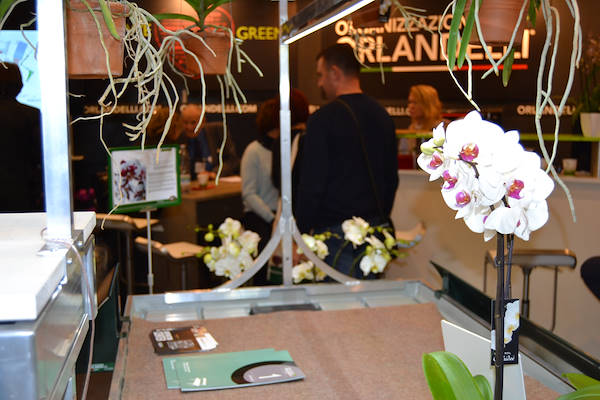 Pallet expositores con luces led