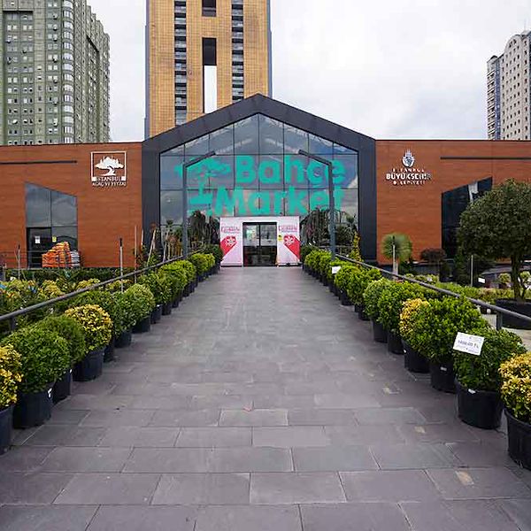 La apertura