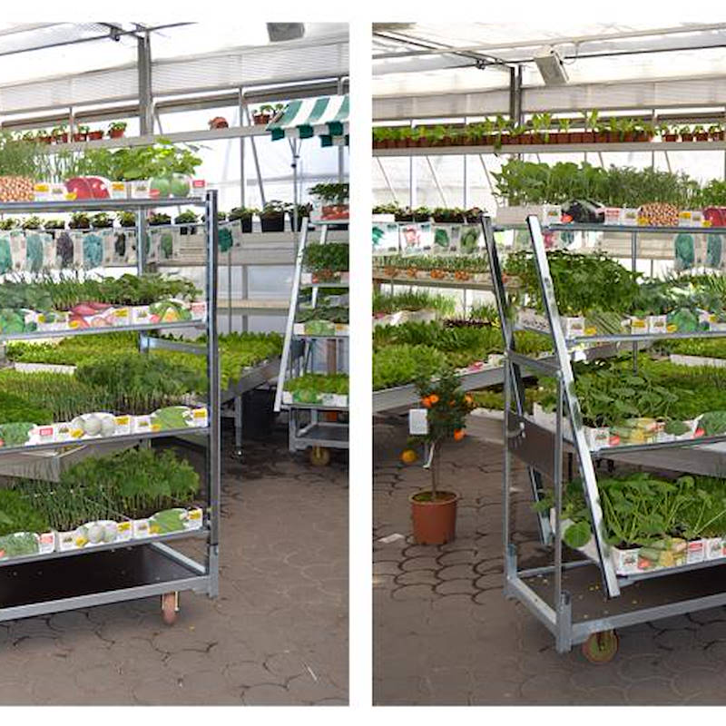 Kit carrello cabriolet