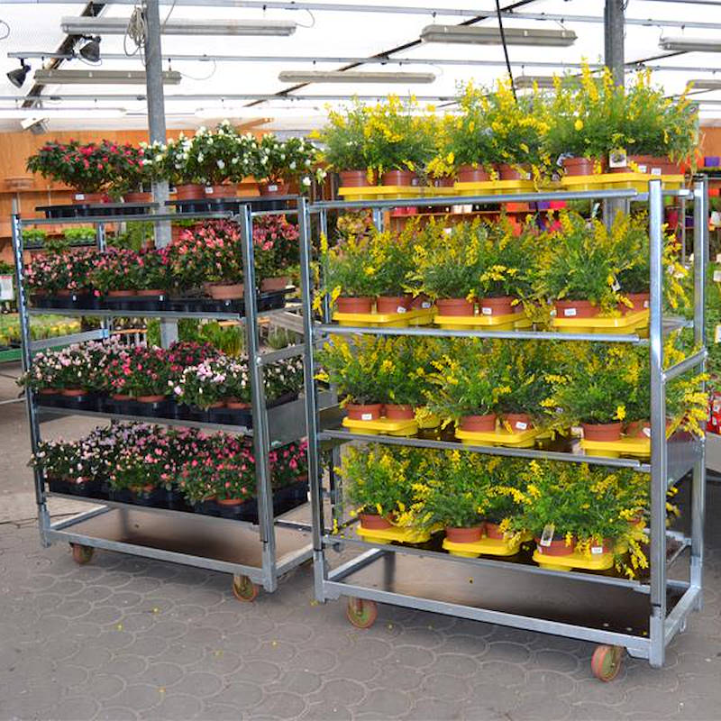 Kit carrello cabriolet