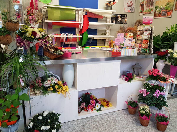 La Rosa di Jericho, il nuovo negozio di fiori a Marchirolo