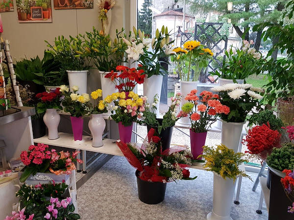 La Rosa di Jericho, il nuovo negozio di fiori a Marchirolo