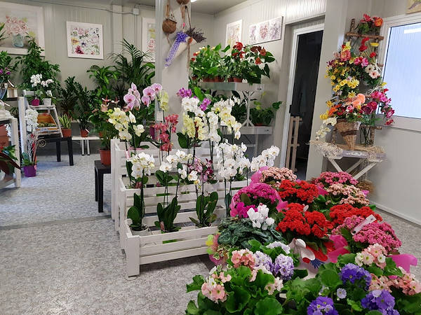 La Rosa di Jericho, il nuovo negozio di fiori a Marchirolo