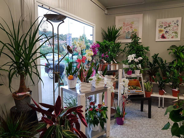 La Rosa di Jericho, il nuovo negozio di fiori a Marchirolo