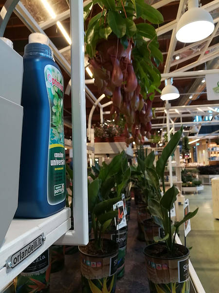 La Serra di Flora Toscana