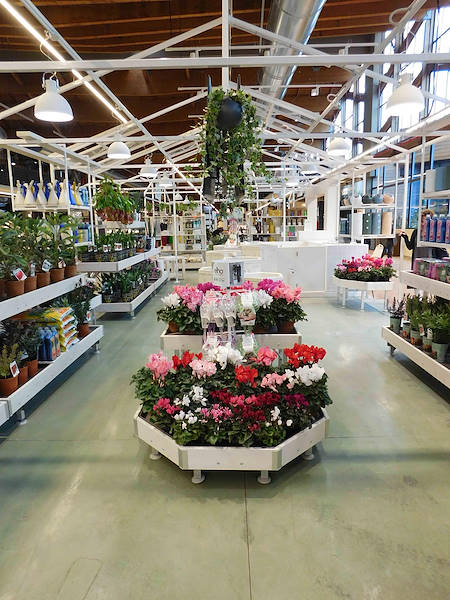 La Serra von Flora Toscana ist eröffnet