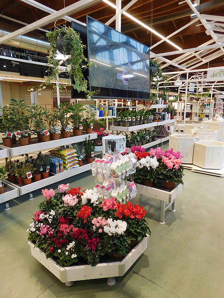 La Serra von Flora Toscana ist eröffnet