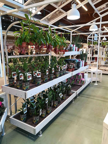 La Serra von Flora Toscana ist eröffnet