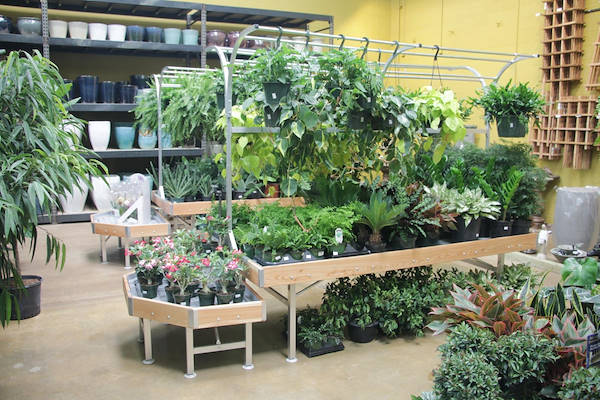 L'arredamento AMOR ridisegna l'area piante e fiori di Urban Hardware