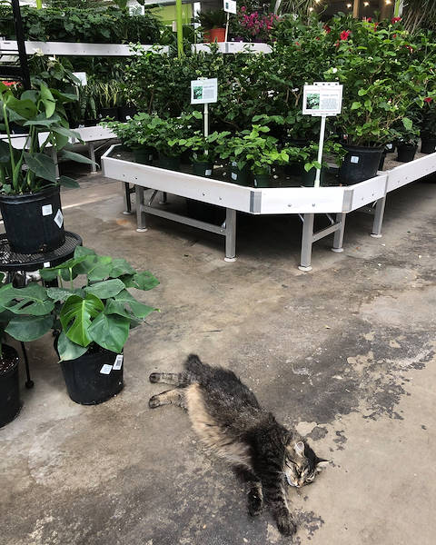 Las soluciones de exhibición de Orlandelli elegidas para refrescar el aspecto y la sensación de Minter Country Garden